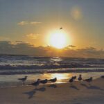 Mexico-Beach-LGaines-3rd-SunriseSunset