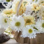 Mexico Beach Florida - Vow Renewal 2016