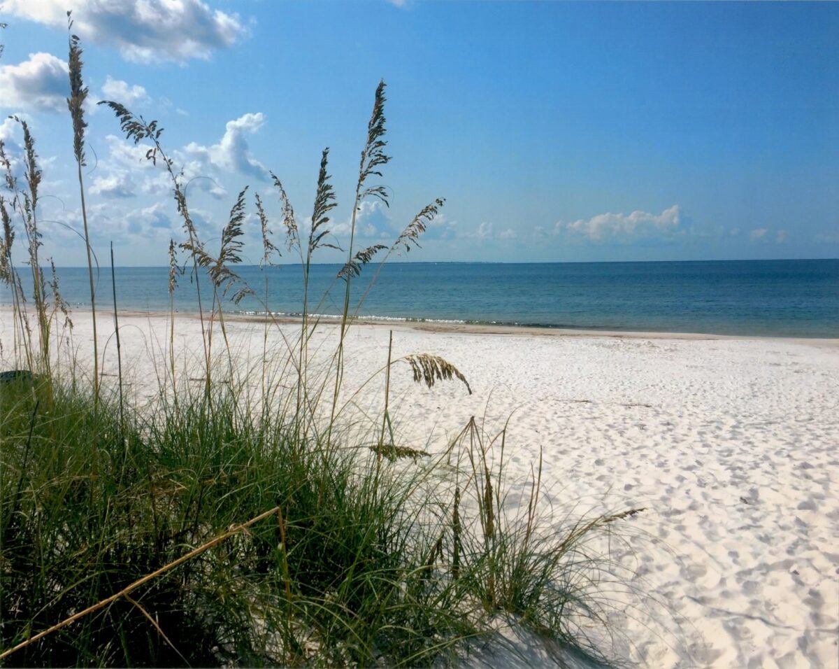 Beaches – Mexico Beach