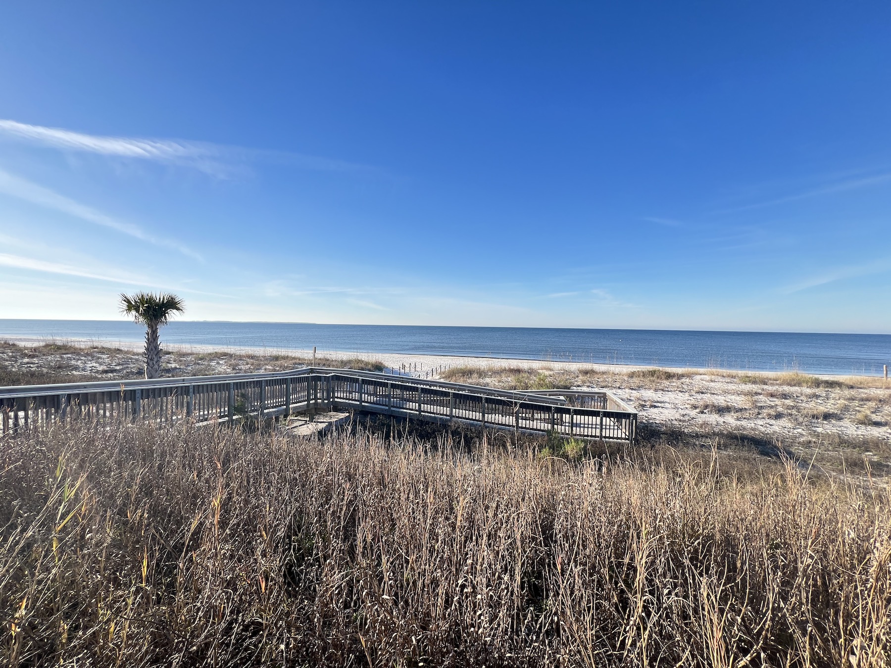 Mexico Beach January 2025 Newsletter