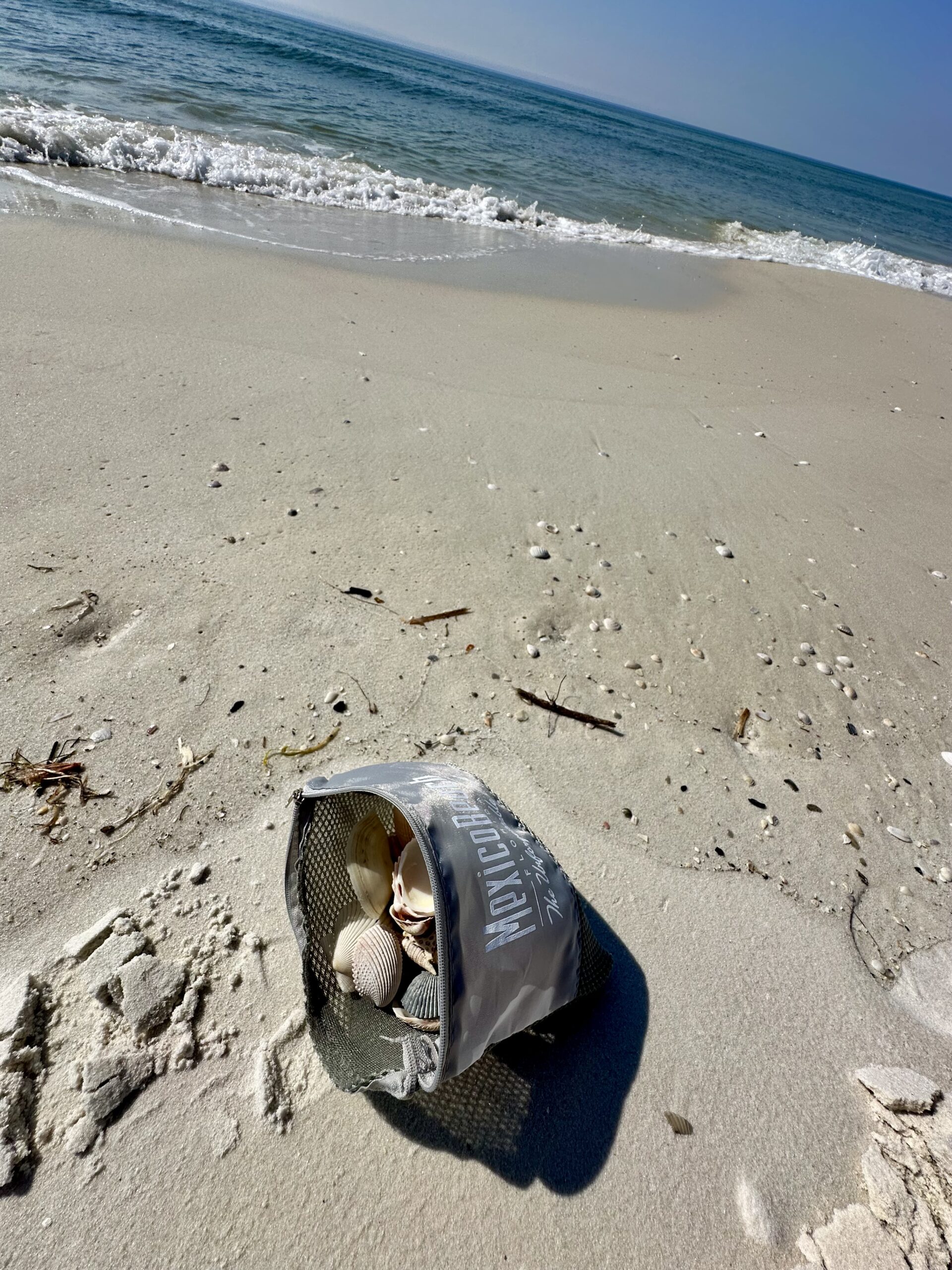 a mesh bag full of shells on the beach