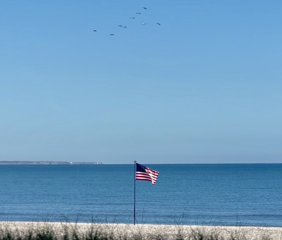 Mexico Beach July 2026 Newsletter