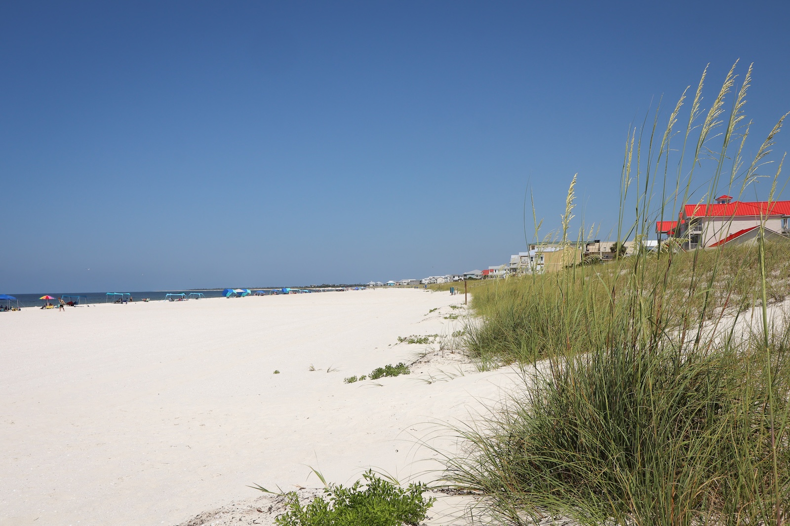 Mexico Beach August 2026 Newsletter