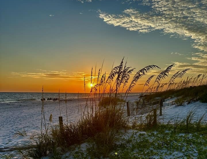Mexico Beach September 2026 Newsletter
